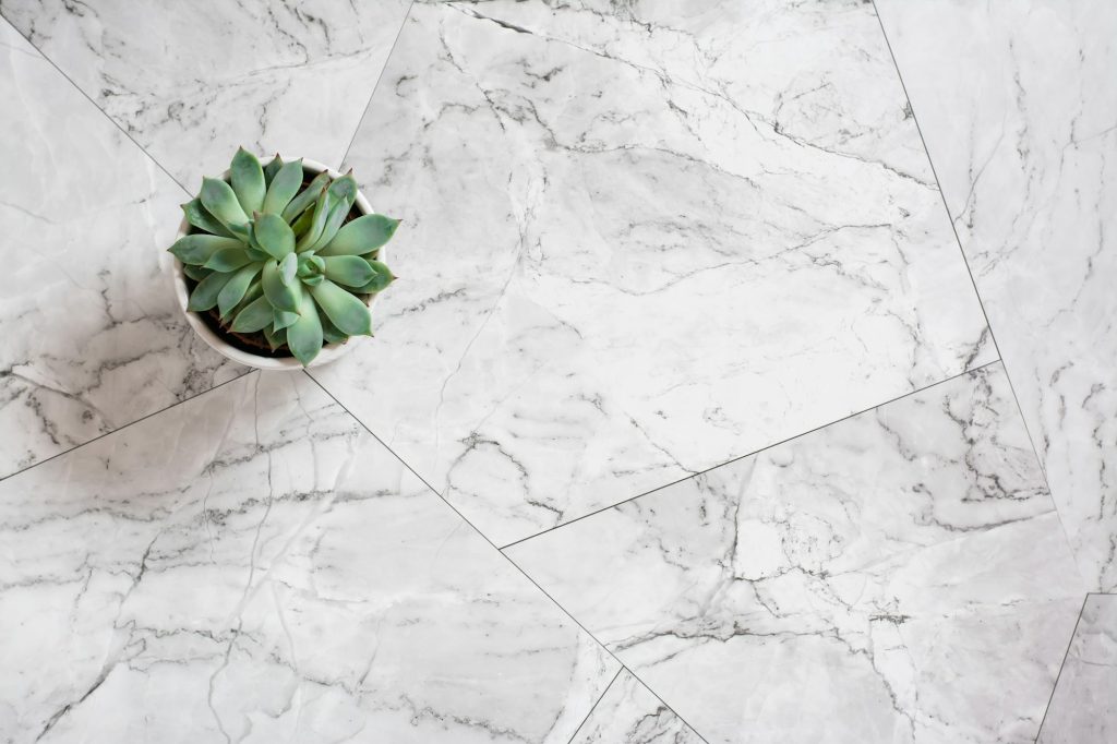 Succulent in a pot on a marble tile. Scandinavian house design