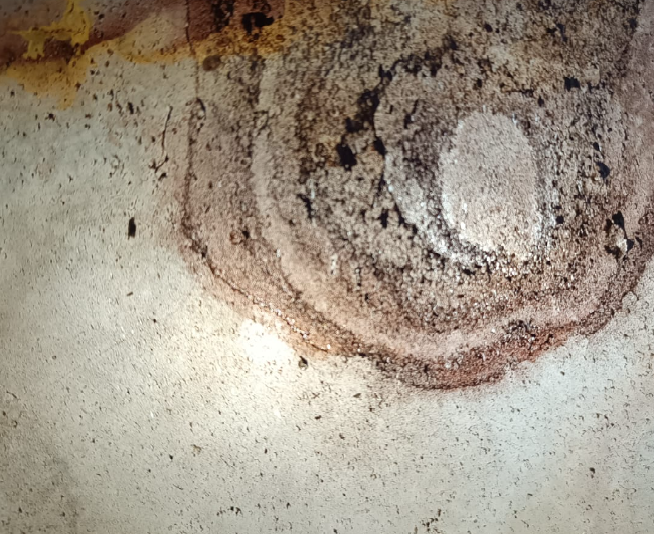 Flexiroca Translucido Sanjeevani White.