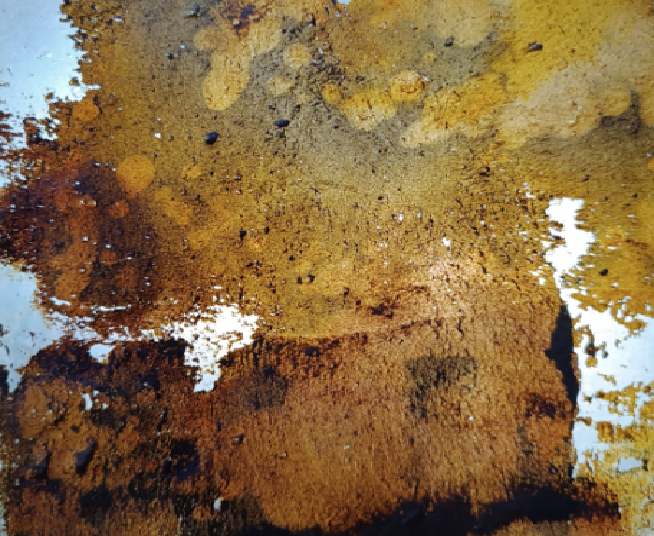 Flexiroca Translucido Autumn Rustic