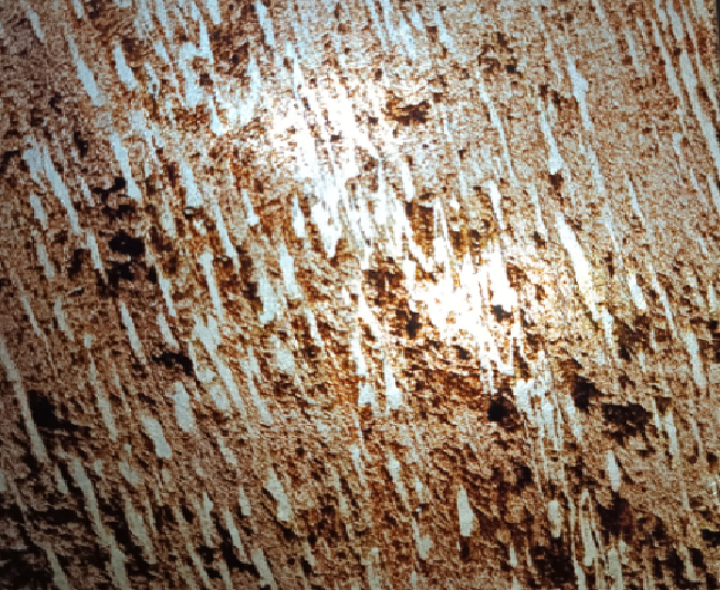 Flexiroca Translucido Cooper Shine